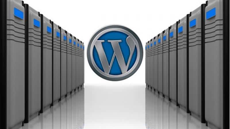 Navigating the World of Web Hosting and Domain Services InforTechno The Best WordPress Hosting Services